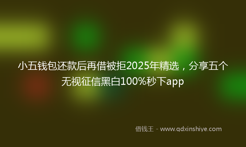 小五钱包还款后再借被拒2025年精选，分享五个无视征信黑白100%秒下app