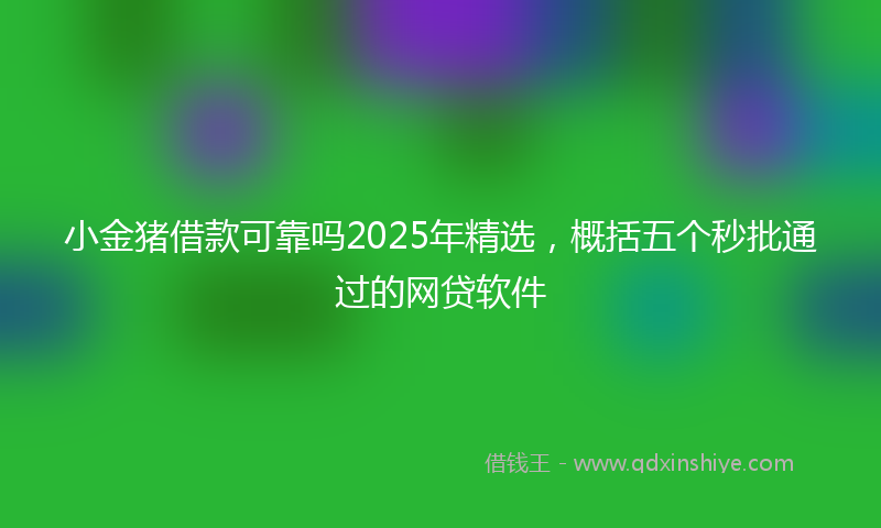 小金猪借款可靠吗2025年精选，概括五个秒批通过的网贷软件