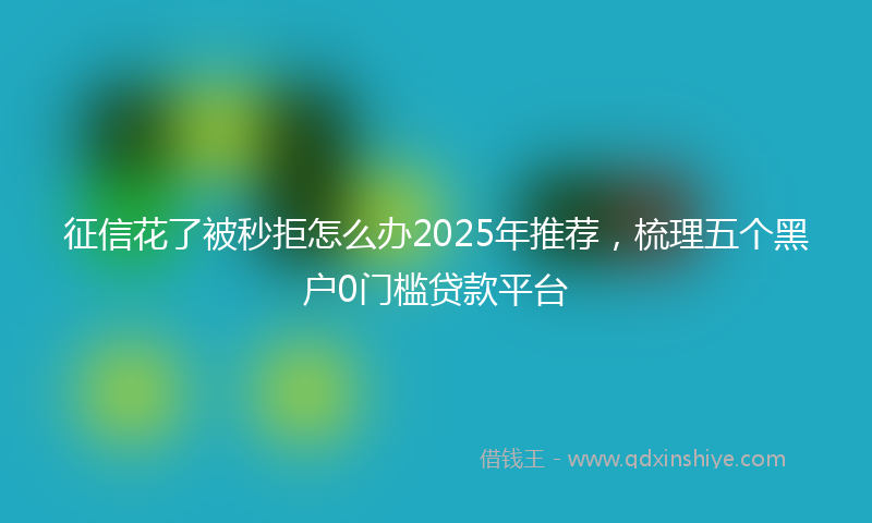 征信花了被秒拒怎么办2025年推荐，梳理五个黑户0门槛贷款平台