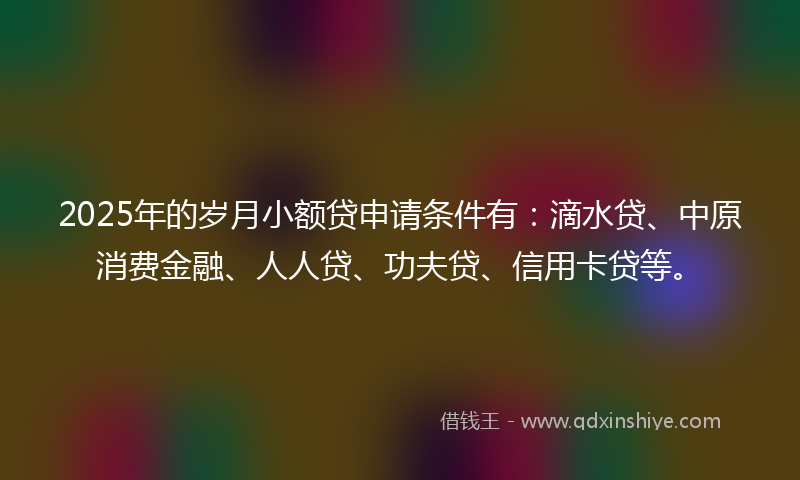 2025年的岁月小额贷申请条件有：滴水贷、中原消费金融、人人贷、功夫贷、信用卡贷等。