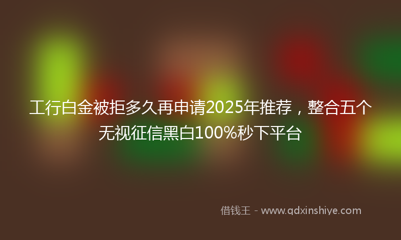 工行白金被拒多久再申请2025年推荐，整合五个无视征信黑白100%秒下平台
