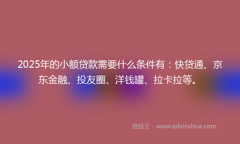 2025年的小额贷款需要什么条件有：快贷通、京东金融、投友圈、洋钱罐、拉卡拉等。