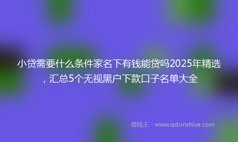 小贷需要什么条件家名下有钱能贷吗2025年精选，汇总5个无视黑户下款口子名单大全