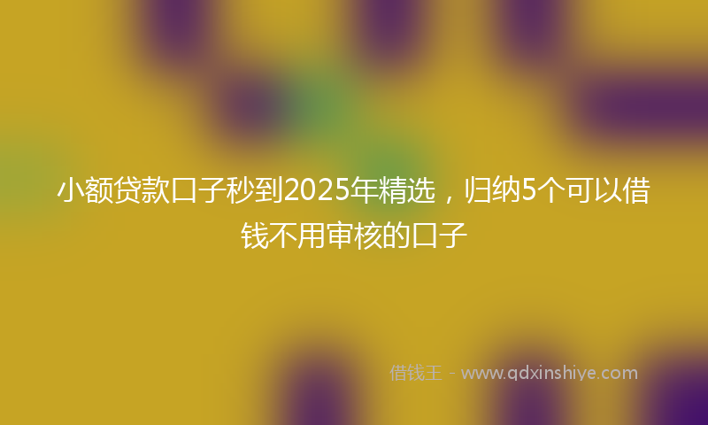 小额贷款口子秒到2025年精选，归纳5个可以借钱不用审核的口子