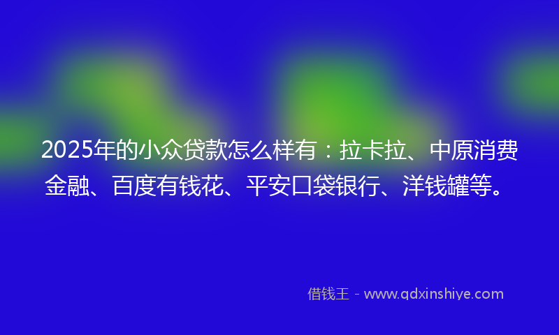 2025年的小众贷款怎么样有：拉卡拉、中原消费金融、百度有钱花、平安口袋银行、洋钱罐等。
