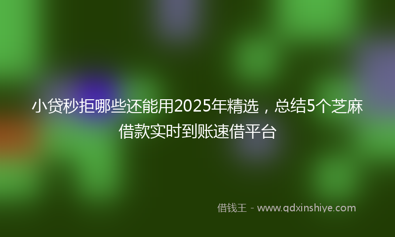 小贷秒拒哪些还能用2025年精选，总结5个芝麻借款实时到账速借平台