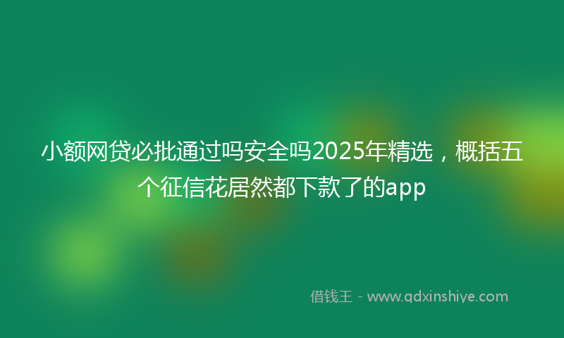 小额网贷必批通过吗安全吗2025年精选，概括五个征信花居然都下款了的app