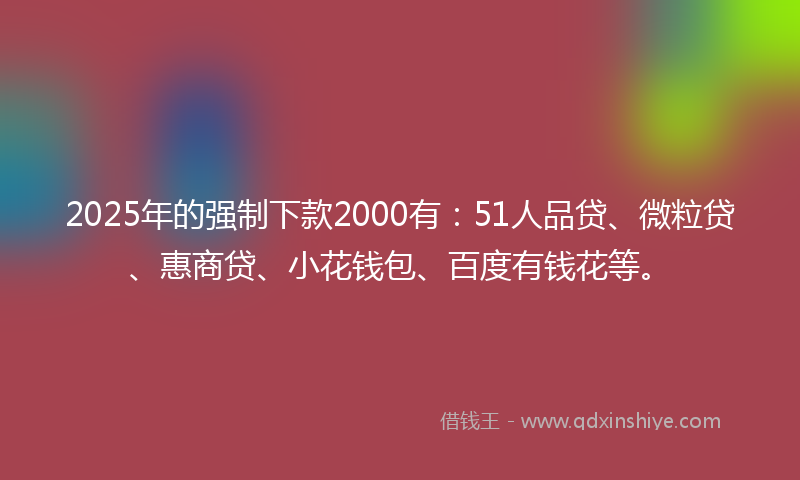2025年的强制下款2000有：51人品贷、微粒贷、惠商贷、小花钱包、百度有钱花等。