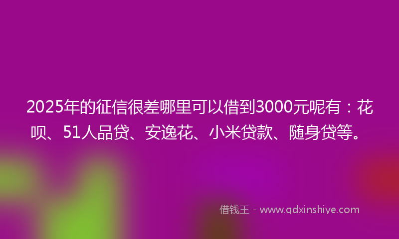 2025年的征信很差哪里可以借到3000元呢有：花呗、51人品贷、安逸花、小米贷款、随身贷等。
