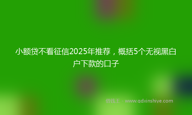 小额贷不看征信2025年推荐，概括5个无视黑白户下款的口子