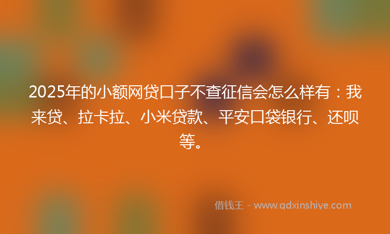 2025年的小额网贷口子不查征信会怎么样有：我来贷、拉卡拉、小米贷款、平安口袋银行、还呗等。