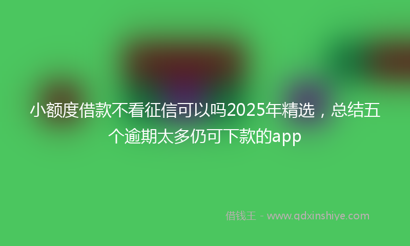 小额度借款不看征信可以吗2025年精选，总结五个逾期太多仍可下款的app