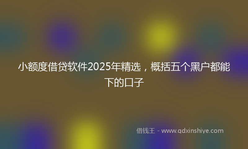 小额度借贷软件2025年精选，概括五个黑户都能下的口子