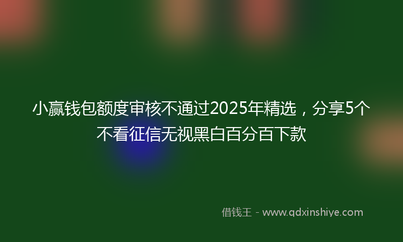 小赢钱包额度审核不通过2025年精选，分享5个不看征信无视黑白百分百下款