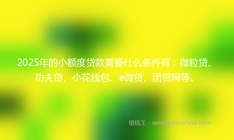 2025年的小额度贷款需要什么条件有：微粒贷、功夫贷、小花钱包、e微贷、团贷网等。