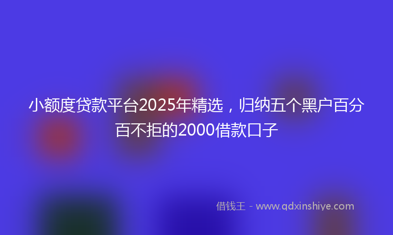 小额度贷款平台2025年精选，归纳五个黑户百分百不拒的2000借款口子