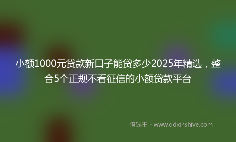 小额1000元贷款新口子能贷多少2025年精选，整合5个正规不看征信的小额贷款平台