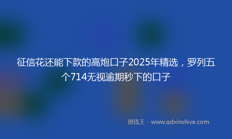 征信花还能下款的高炮口子2025年精选，罗列五个714无视逾期秒下的口子