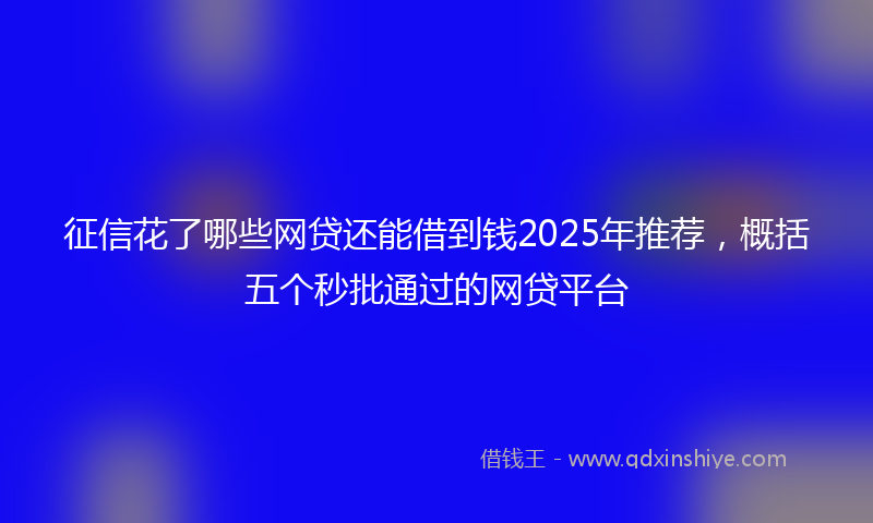 征信花了哪些网贷还能借到钱2025年推荐，概括五个秒批通过的网贷平台
