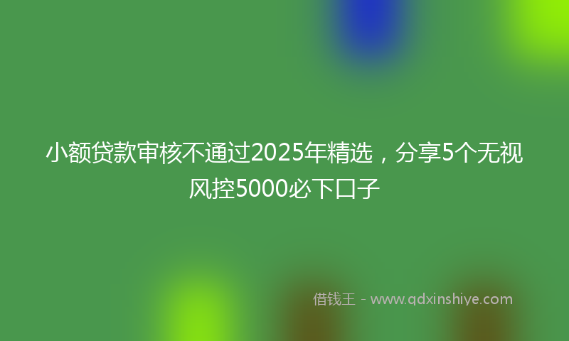 小额贷款审核不通过2025年精选，分享5个无视风控5000必下口子