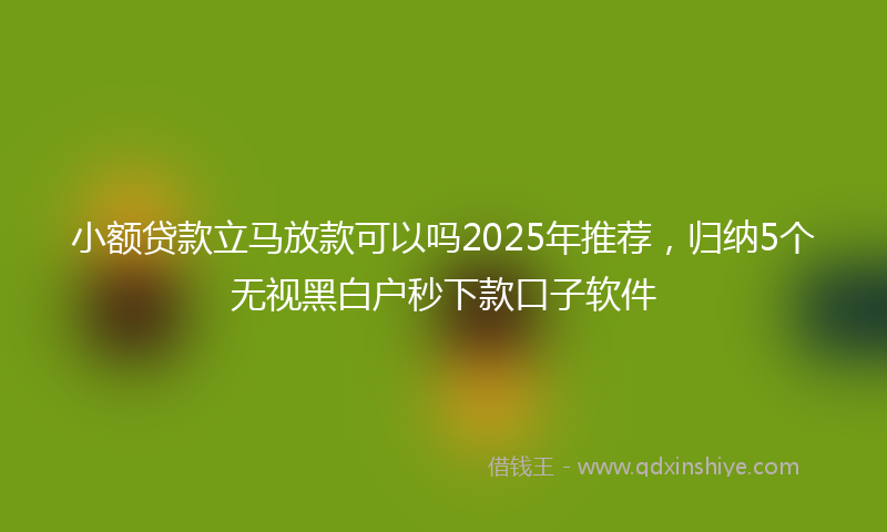 小额贷款立马放款可以吗2025年推荐，归纳5个无视黑白户秒下款口子软件