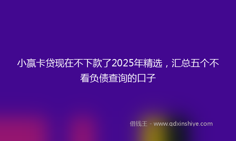 小赢卡贷现在不下款了2025年精选，汇总五个不看负债查询的口子