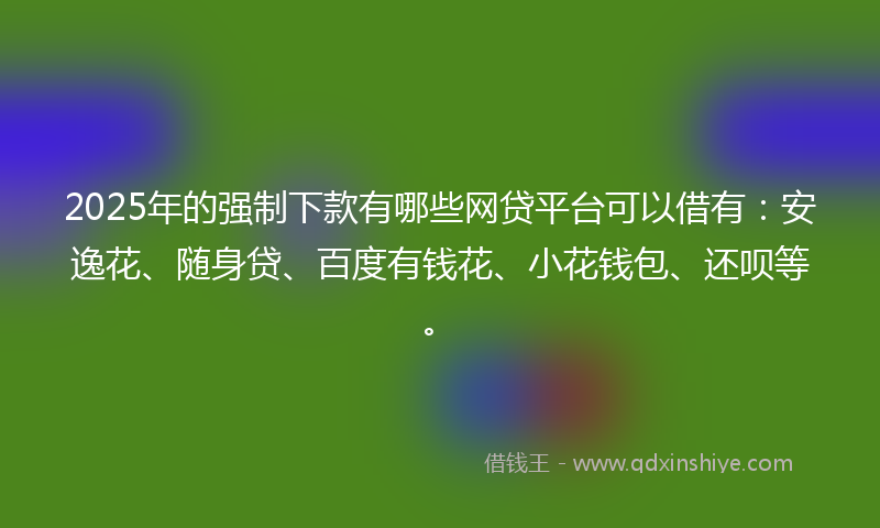 2025年的强制下款有哪些网贷平台可以借有：安逸花、随身贷、百度有钱花、小花钱包、还呗等。