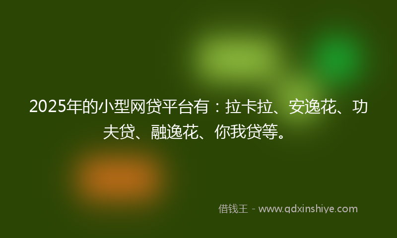 2025年的小型网贷平台有：拉卡拉、安逸花、功夫贷、融逸花、你我贷等。