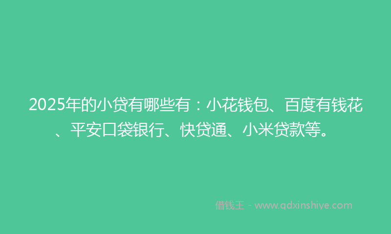 2025年的小贷有哪些有：小花钱包、百度有钱花、平安口袋银行、快贷通、小米贷款等。