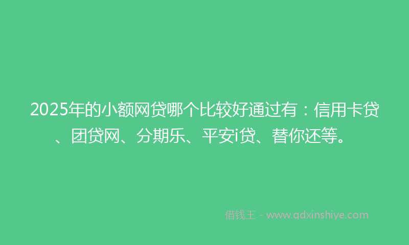 2025年的小额网贷哪个比较好通过有：信用卡贷、团贷网、分期乐、平安i贷、替你还等。