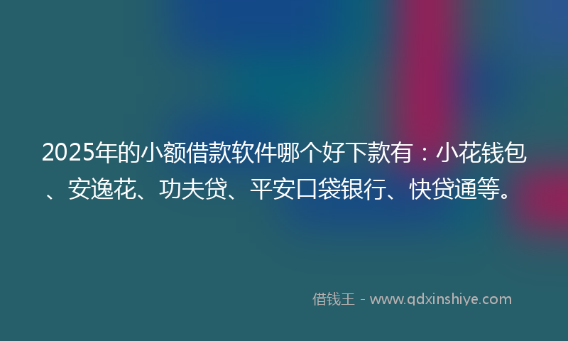 2025年的小额借款软件哪个好下款有：小花钱包、安逸花、功夫贷、平安口袋银行、快贷通等。