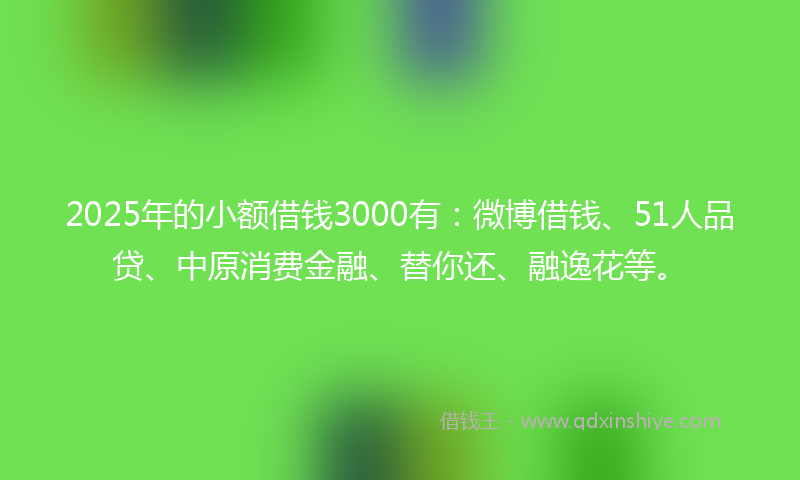 2025年的小额借钱3000有：微博借钱、51人品贷、中原消费金融、替你还、融逸花等。