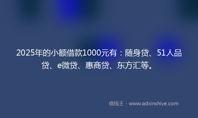 2025年的小额借款1000元有：随身贷、51人品贷、e微贷、惠商贷、东方汇等。