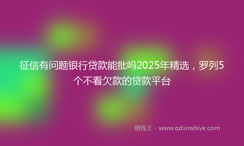 征信有问题银行贷款能批吗2025年精选，罗列5个不看欠款的贷款平台