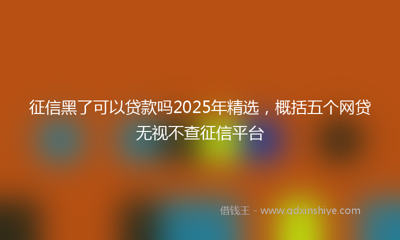 征信黑了可以贷款吗2025年精选，概括五个网贷无视不查征信平台