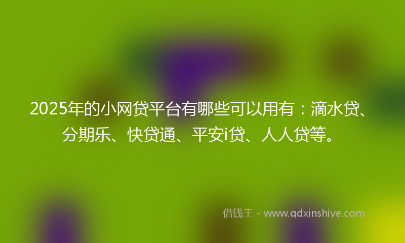 2025年的小网贷平台有哪些可以用有：滴水贷、分期乐、快贷通、平安i贷、人人贷等。