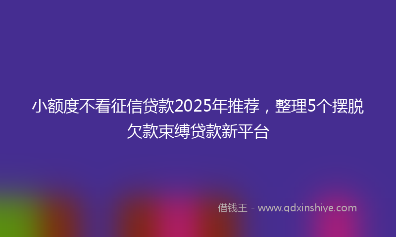 小额度不看征信贷款2025年推荐，整理5个摆脱欠款束缚贷款新平台