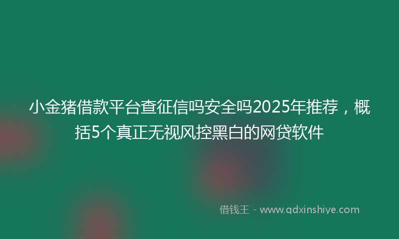 小金猪借款平台查征信吗安全吗2025年推荐，概括5个真正无视风控黑白的网贷软件