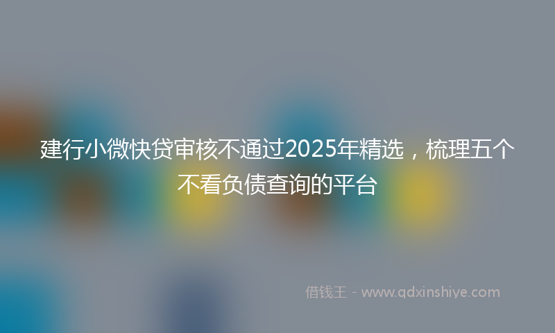 建行小微快贷审核不通过2025年精选，梳理五个不看负债查询的平台