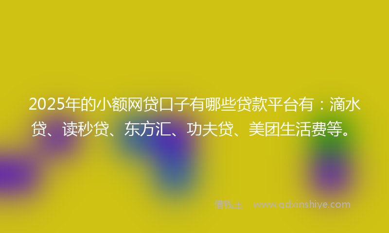 2025年的小额网贷口子有哪些贷款平台有：滴水贷、读秒贷、东方汇、功夫贷、美团生活费等。