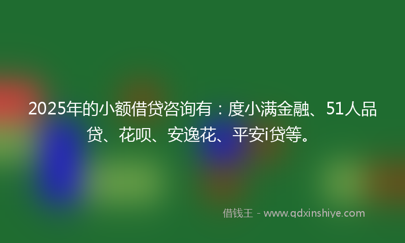 2025年的小额借贷咨询有：度小满金融、51人品贷、花呗、安逸花、平安i贷等。