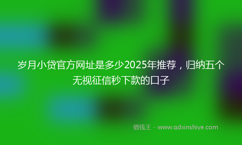 岁月小贷官方网址是多少2025年推荐，归纳五个无视征信秒下款的口子