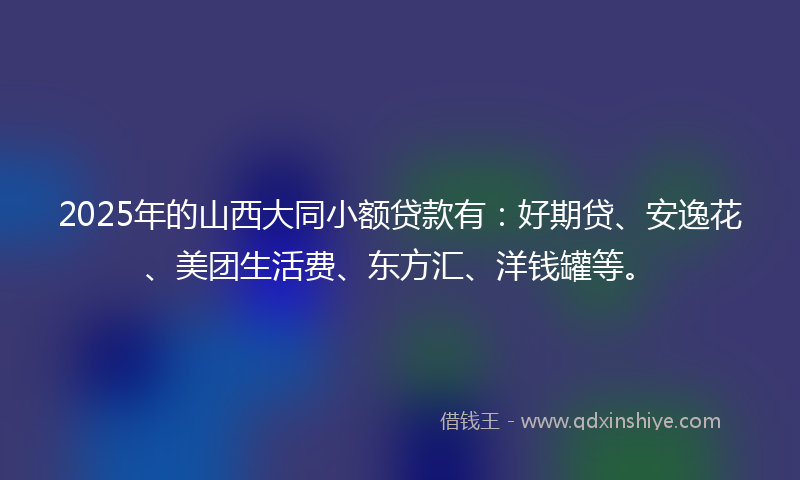 2025年的山西大同小额贷款有：好期贷、安逸花、美团生活费、东方汇、洋钱罐等。