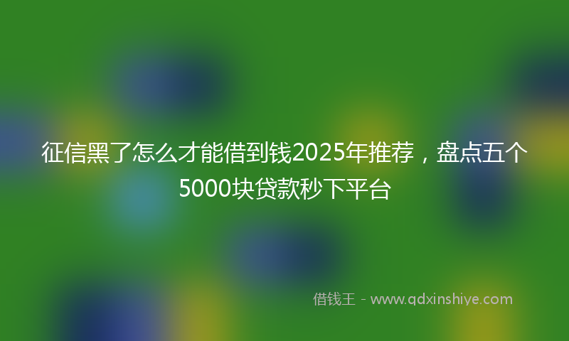 征信黑了怎么才能借到钱2025年推荐，盘点五个5000块贷款秒下平台