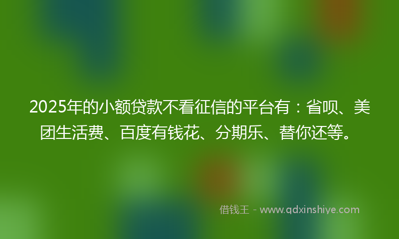 2025年的小额贷款不看征信的平台有：省呗、美团生活费、百度有钱花、分期乐、替你还等。
