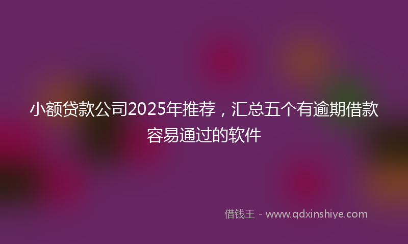 小额贷款公司2025年推荐，汇总五个有逾期借款容易通过的软件