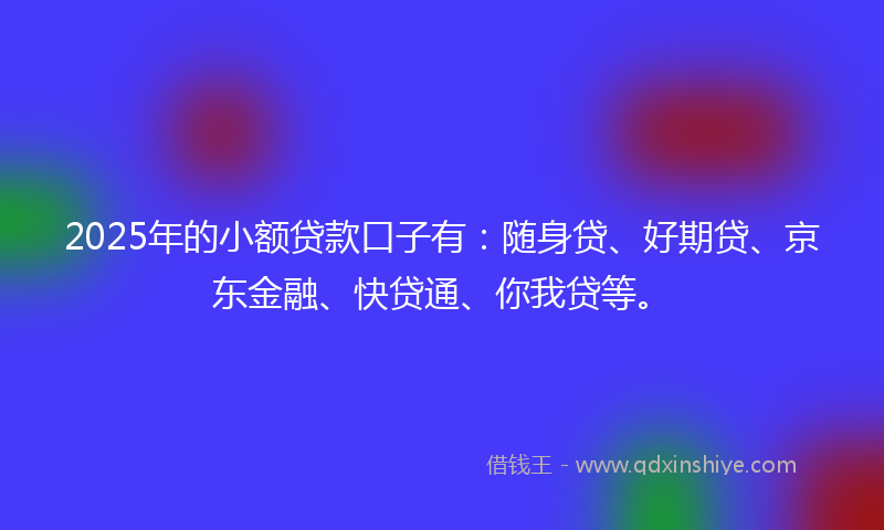 2025年的小额贷款口子有：随身贷、好期贷、京东金融、快贷通、你我贷等。