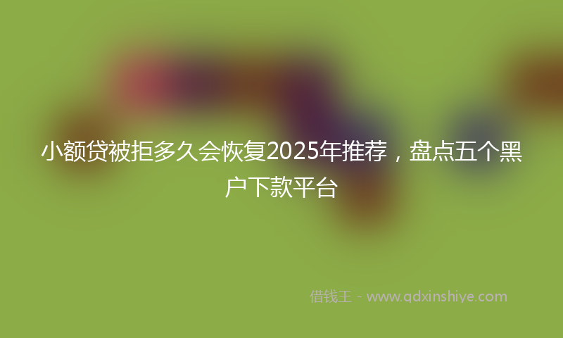 小额贷被拒多久会恢复2025年推荐，盘点五个黑户下款平台