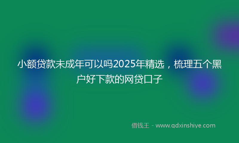 小额贷款未成年可以吗2025年精选，梳理五个黑户好下款的网贷口子