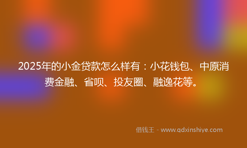 2025年的小金贷款怎么样有：小花钱包、中原消费金融、省呗、投友圈、融逸花等。